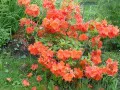 b30880612019cf6e837bb726f3ab6414