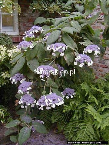 be9cf62bcc99bcba63b9d0661a8aa13f